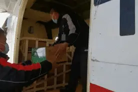 大草原的羊肉无人机“空运”视频封面