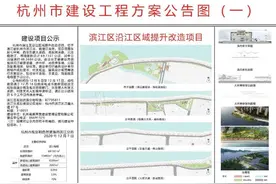 三江汇首个改造方案公示！未来从滨江浦沿到奥体，一路美不胜收图片
