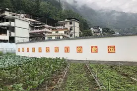 教育部：义务教育辍学学生降至831人图片