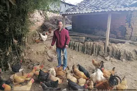 灵山县：让贫困户得到实实在在的支持图片
