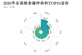 13390亿斤！2020年粮食又丰收图片