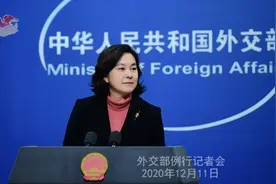 两名加拿大公民康明凯和迈克尔是否已被审判？外交部回应图片