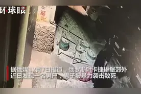 俄罗斯71岁母亲砍死“啃老”儿子，伙同女儿抛尸，监控拍下惊悚一幕图片