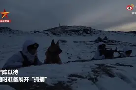 军犬跟随边防战士雪夜潜伏视频封面