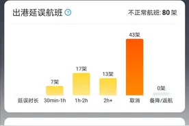 已取消超100个航班 济南机场航班大面积延误图片