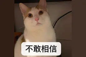 女子和男网友深夜相约开车兜风，结果被其抢走100元图片