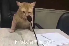 学会这几招，你就是这栋楼里最靓的崽 | 正经玩图片