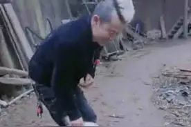 男子被大鹅追着咬 连声直叫痛死了