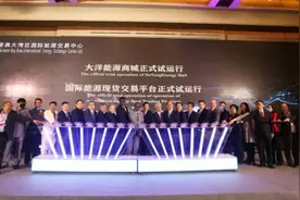 2020中国国际能源大会暨国际能源合作创新论坛在京举行图片