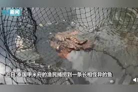 泰国渔民捞到恐怖怪鱼，大张着嘴好似人脸，“眼神”犀利令人害怕图片