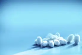 点“丝”成金！蚕丝蛋白变身医疗器械、硬盘存储，锁住生命与记忆图片
