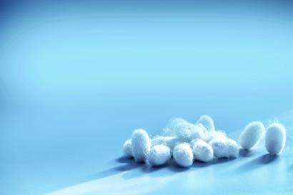 点“丝”成金！蚕丝蛋白变身医疗器械、硬盘存储，锁住生命与记忆