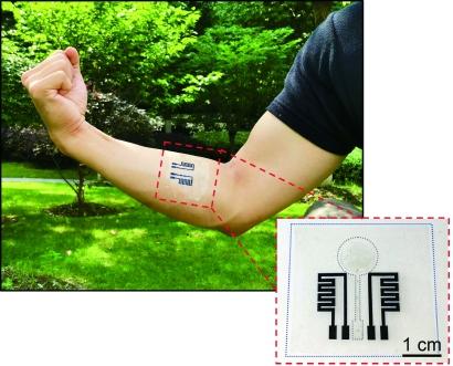 点“丝”成金！蚕丝蛋白变身医疗器械、硬盘存储，锁住生命与记忆