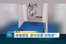 体操萌娃  家中设置“训练场”视频封面