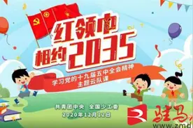 遂平县第五小学开展“红领巾相约2035”主题云队课活动图片