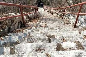 古村寻踪 | 临淄区金阳村：雄浑灵秀金山畔 古村延绵600年图片