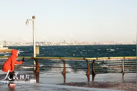 大连出现“速冻”模式 海岸栈道挂冰凌图片