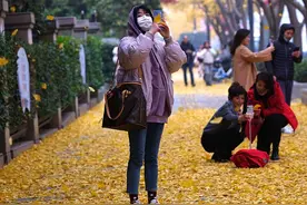 申城午后大风起，落叶如“雨”扑簌扑簌落下 | 晨镜头图片