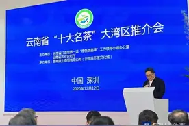 云南“10大名茶”亮相深圳茶博会，推动云茶产业升级发展图片