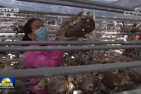 新疆阿克陶：精准帮扶开启新生活新奋斗起点图片