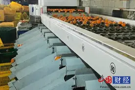 广西邮政快递业助力脱贫攻坚纪实：推进“两进一出”打造西部陆海新通道图片