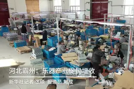 河北霸州：乐器产业促民增收视频封面