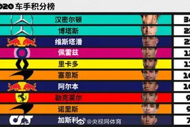 2020赛季F1年终车手积分榜图片