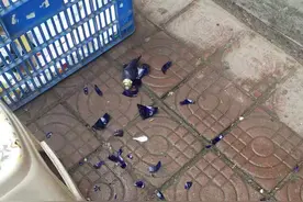 太凶险！楼上飞下一酒瓶砸在快递店大门口 谁干的？图片