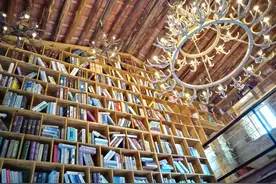 读万卷书、行万里路：在北部湾，“借本图书去旅行”图片