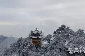 白雪皑皑万里遥！九华山风景区迎来今冬第一场雪图片