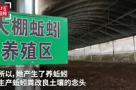 女孩养上亿条蚯蚓，每天消耗百吨垃圾，网友看完表示佩服：女中豪杰图片