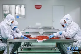 产业“组合拳”铺就致富路图片