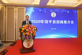 加快“融湾”结良缘，饶平组团赴东莞招商推介图片