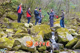 巴河源头探访——起于林间，有千年古道为伴图片