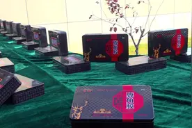 聊城市重点项目下半年现场观摩｜东阿：“1+1+N”工程推进阿胶产业战略升级图片