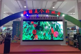 “我发誓，这是我的心里话！”新疆小哥这样评价河南人图片