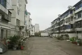 上海罕见！加装一部电梯要征询92户居民意见……因为这个小区有点“特殊”→图片