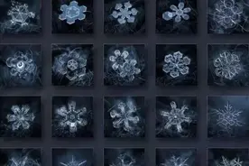 “形形色色”的雪花图片