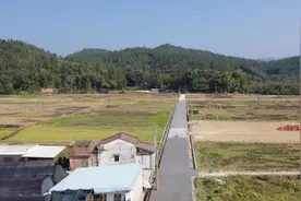 云浮新兴乡贤温桂秋捐资150万元修建村路图片