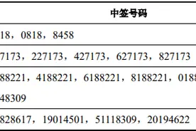 南山智尚、中伟股份等四只新股中签号出炉图片