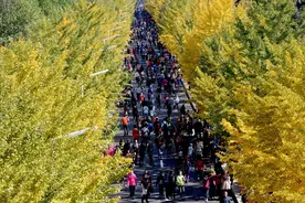 沈阳农大清退236名超期博士生研究生，释放出这个强烈信号图片