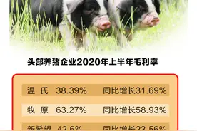 千家房企布局养猪，醉翁之意不在“猪”？图片