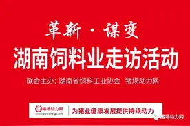 革新·谋变 | 饲料行业十字路口，看比利美英伟的三大进阶之路图片