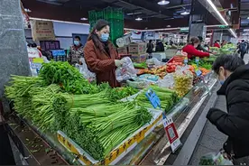 汉产藜蒿上市月余仍处高位，只因时令特色菜口感越来越甜正当季图片