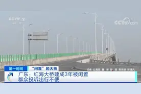 投资1.2亿元建造，为何被闲置3年？迟迟不投用，“沉睡大桥”背后有何隐情？图片