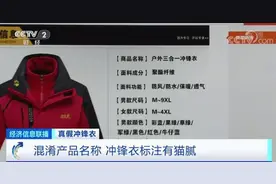 你以为是“冲锋衣”，其实它可能是件夹克……图片