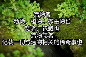 300亿只蝉将席卷美国东部！蛰伏17年为何此时破土而出？图片