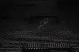 韩国“素媛案”罪犯打手电筒观察抗议者 黑暗中盯了1分钟图片