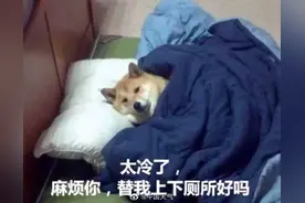 全国省会城市抗冻排行榜出炉，长沙：不愧是我图片