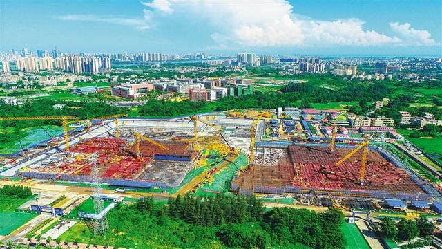 东风地区网站建设（乘自贸港建设东风）